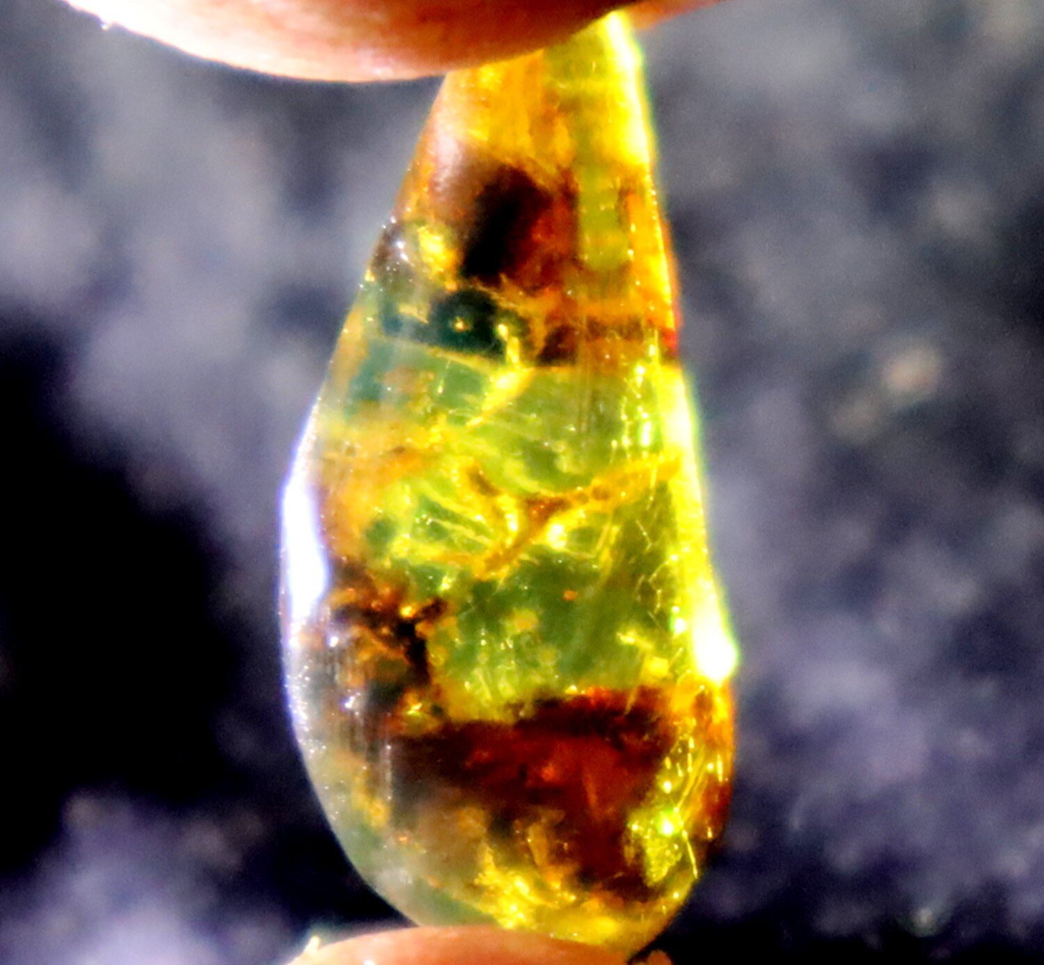 Lovely Natural Dominican Clear Green Blue Amber Polished Stone 22mm – photo 7
