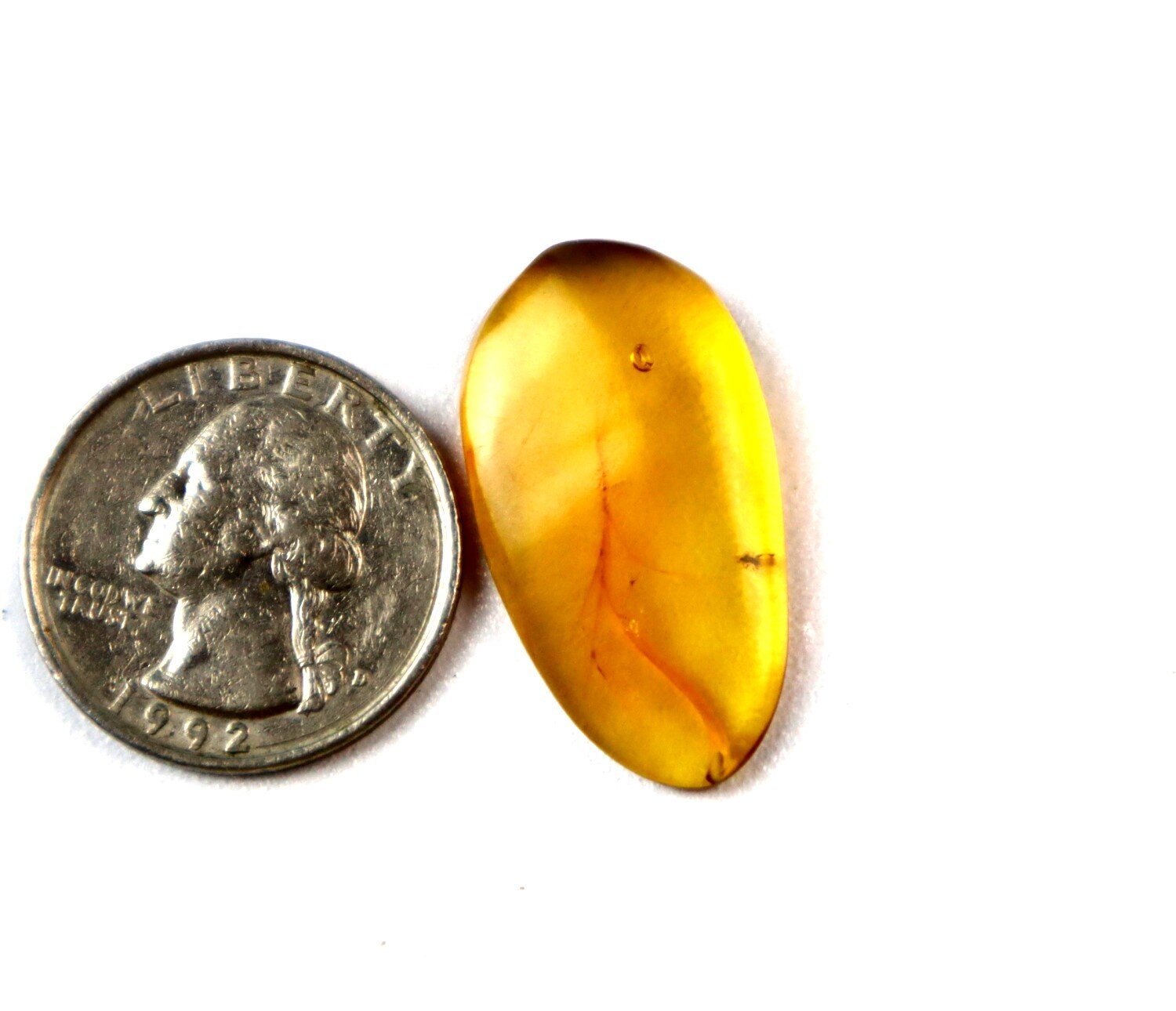 Elegant Fine Ant Inclusion Amber Fossils/Insects 31mm – photo 3