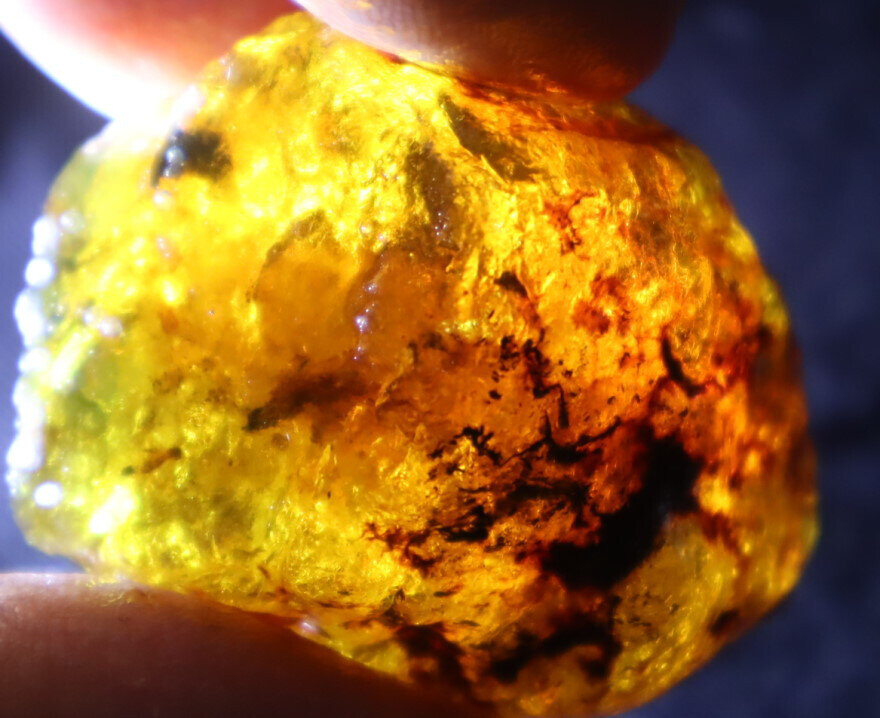 Exquisite Natural Dominican Clear Light Yellow Amber Rough Specimen 35mm 16g – photo 7