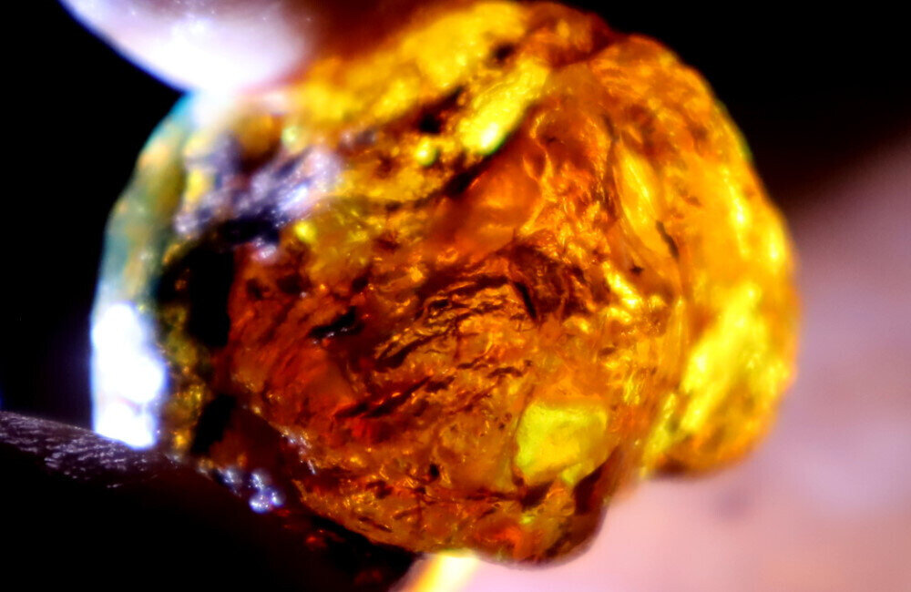 Impressive Natural Dominican Clear Sky Blue Amber Rough Specimen 36mm 14.1g – photo 11