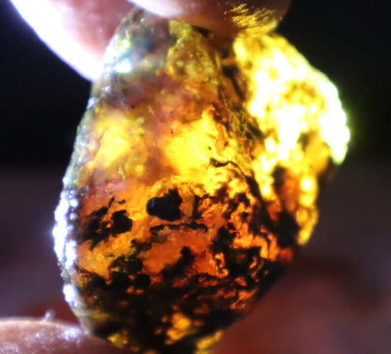 Beautiful Natural Dominican Clear Sky Blue Amber Rough Specimen 41mm 17.1g – photo 10