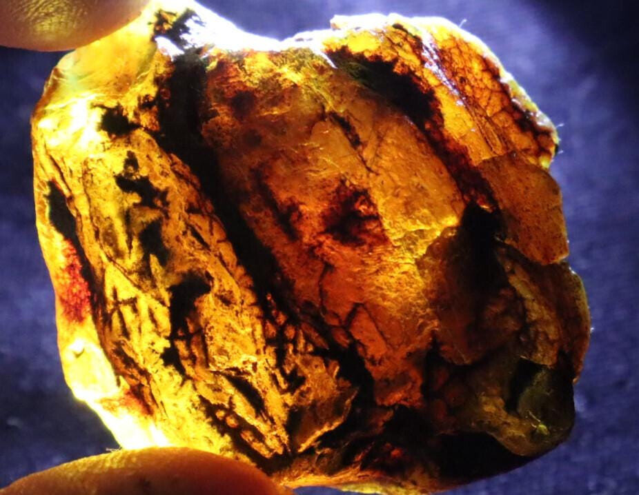 Excellent Natural Dominican Clear Deep Blue Amber Rough Specimen 36mm 11g – photo 8