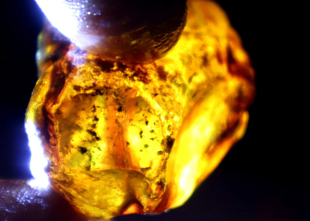 Exquisite Natural Dominican Clear Deep Blue Amber Rough Specimen 45mm 12.7g – photo 12