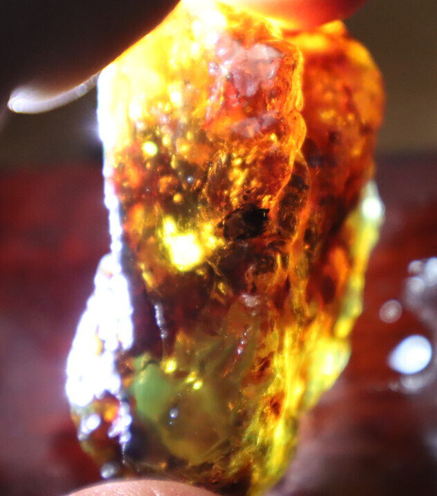 Finest Natural Dominican Clear Green Blue Amber Rough Specimen 58mm 25g – photo 7