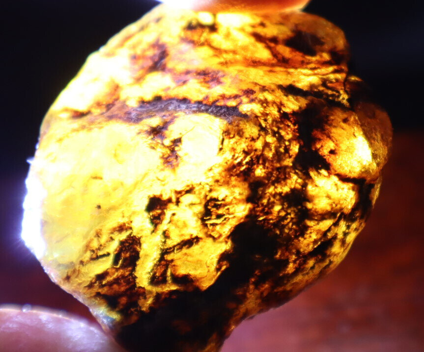 Exquisite Natural Dominican Clear Light Blue Amber Rough Specimen 46mm 22g – photo 11