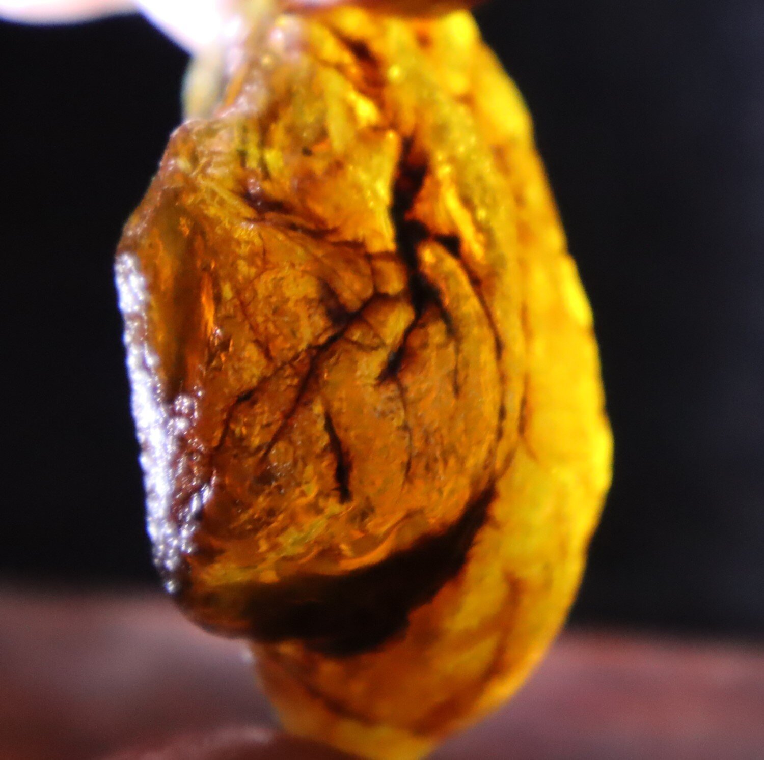 Impressive Natural Dominican Clear Green Blue Amber Rough Specimen 50mm 32.1g – photo 7