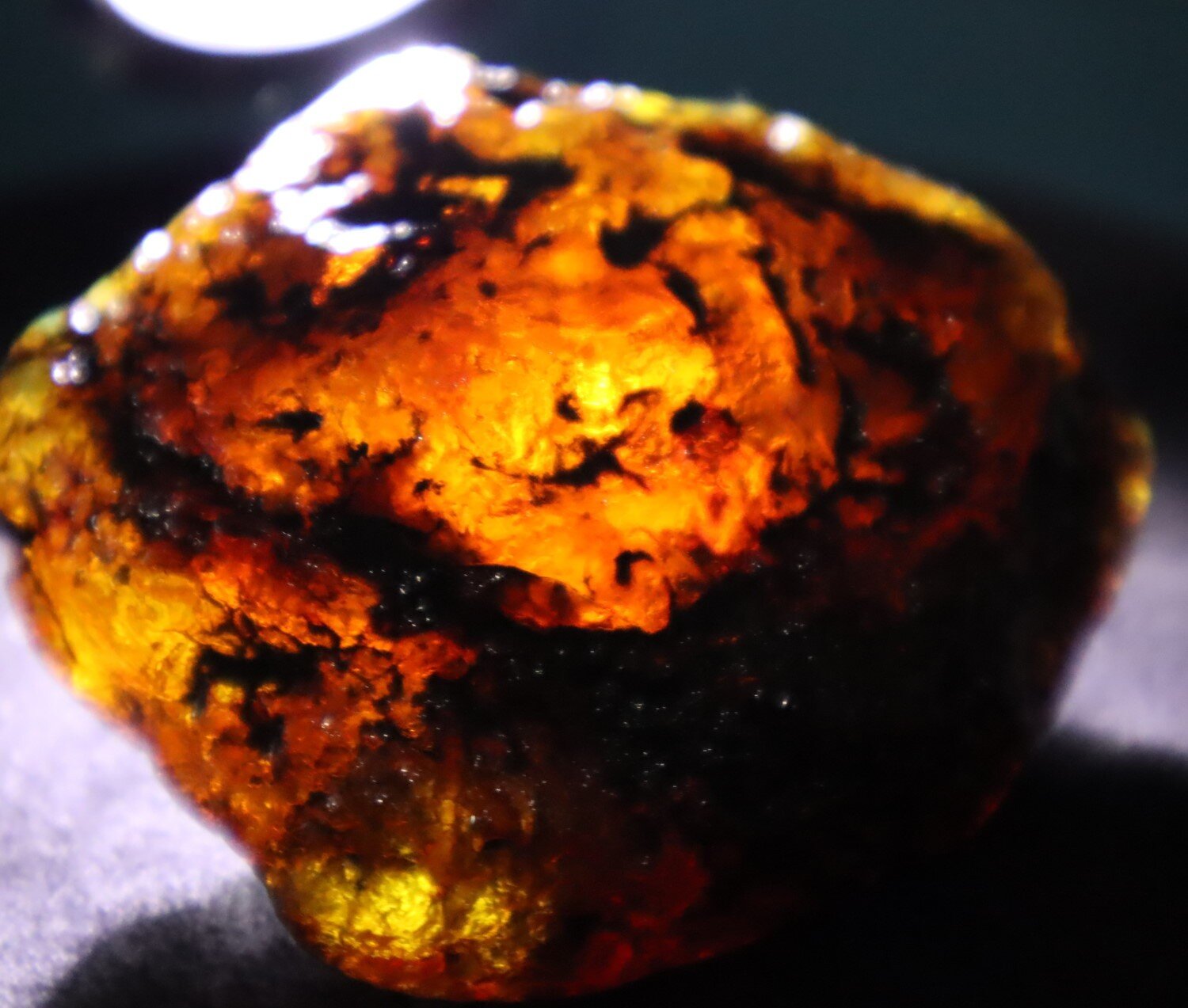 Beautiful Natural Dominican Translucent Green Blue Amber Rough Specimen 62mm 41.7g – photo 11