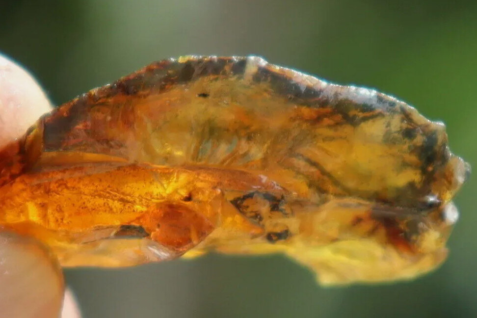 Genuine Dominican Blue Amber Rough Specimen natural Stone 38mm 7g – photo 5