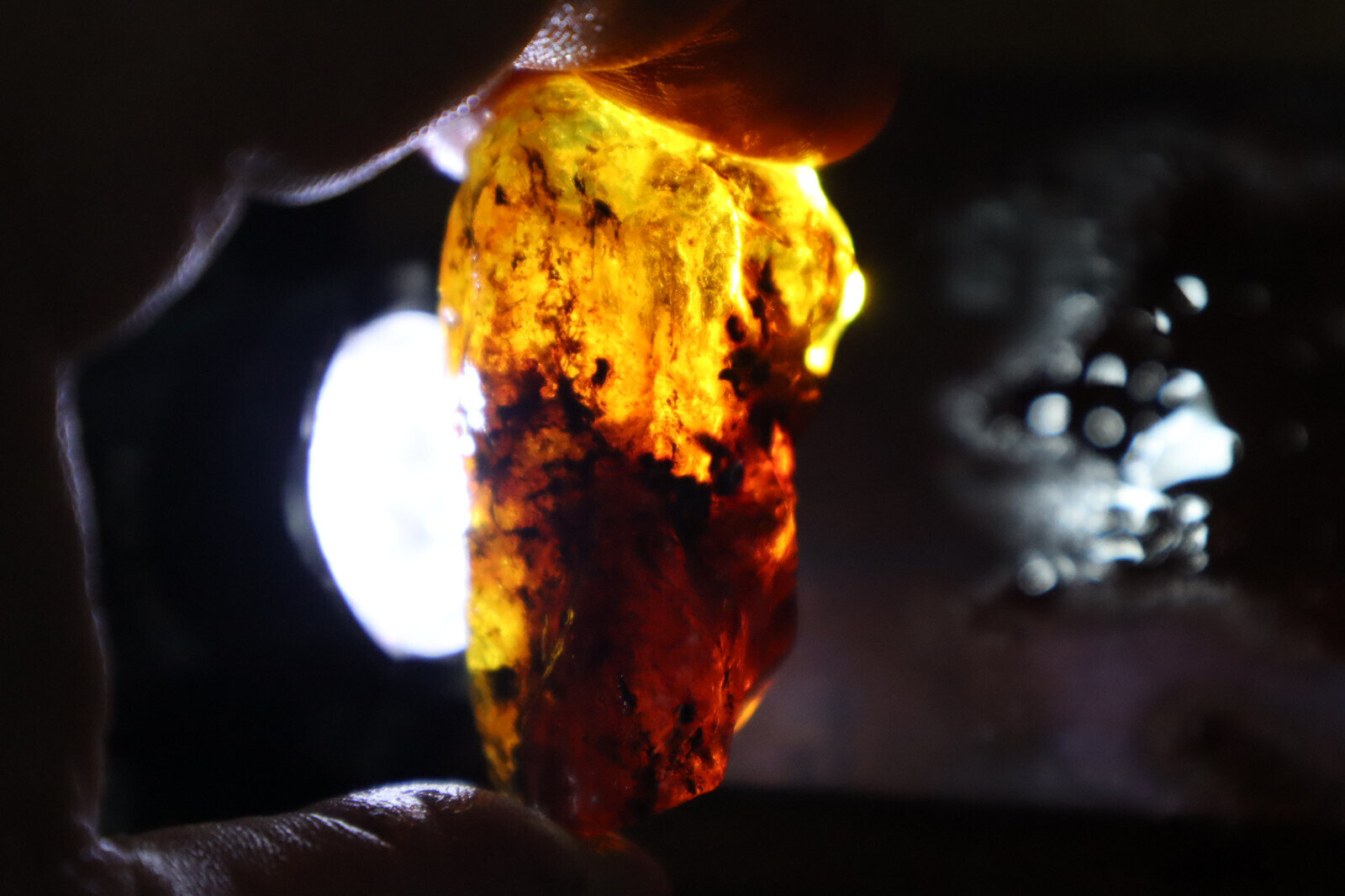 Beautiful Natural Dominican Clear Ocean Blue Amber Rough Specimen 50mm 18.5g – photo 10