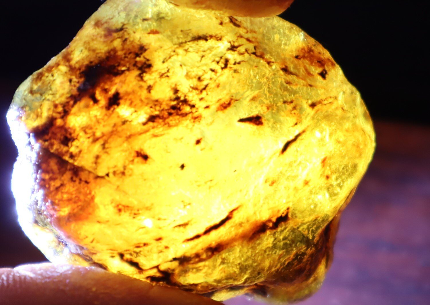 Impressive Dominican Crystal Clear Sky Blue Amber Rough Specimen 43mm 20.1g – photo 12