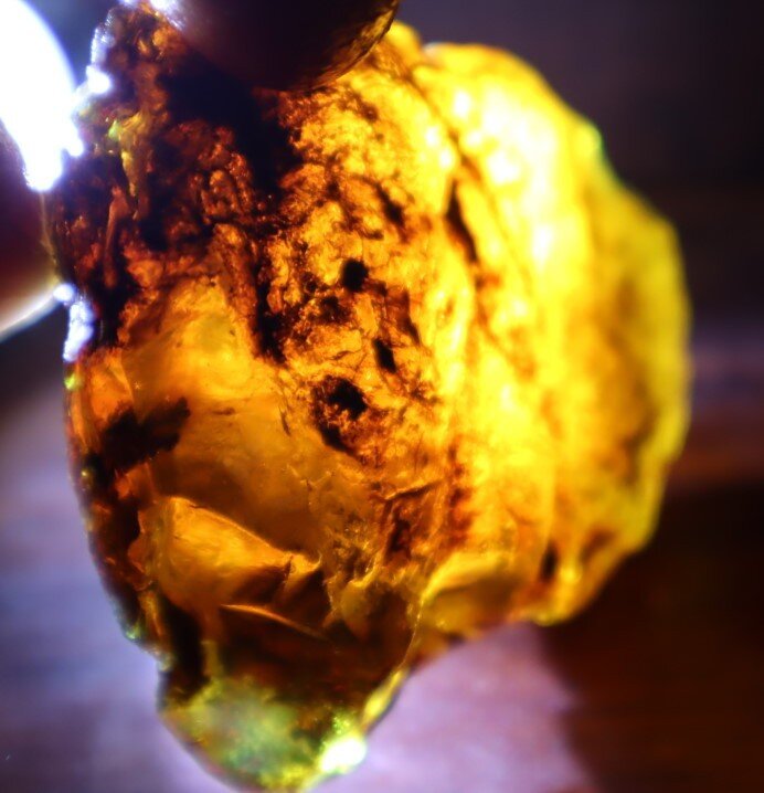Impressive Natural Dominican Clear Volcanic Blue Amber Rough Specimen 62mm 28.5g – photo 11