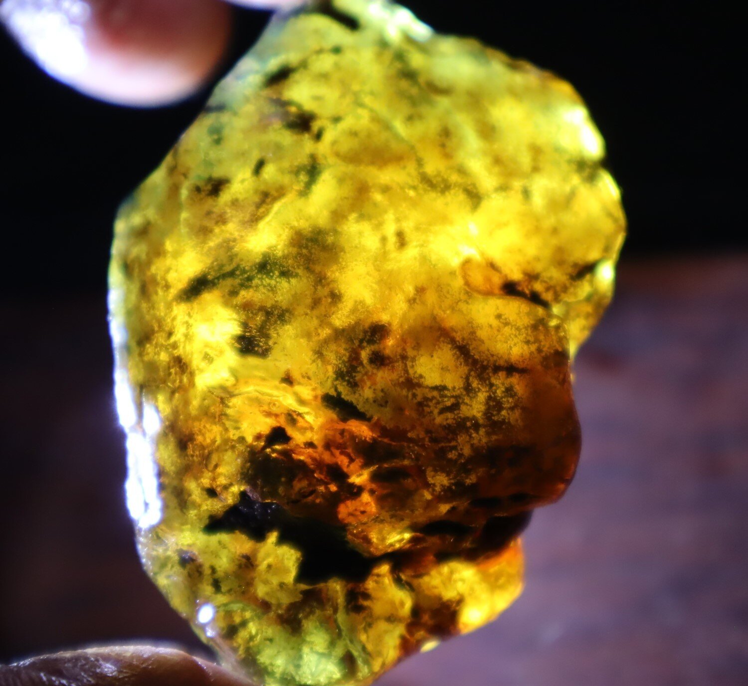 Outstanding Natural Dominican Clear Green Blue Amber Rough Specimen 56mm 22.5g – photo 3