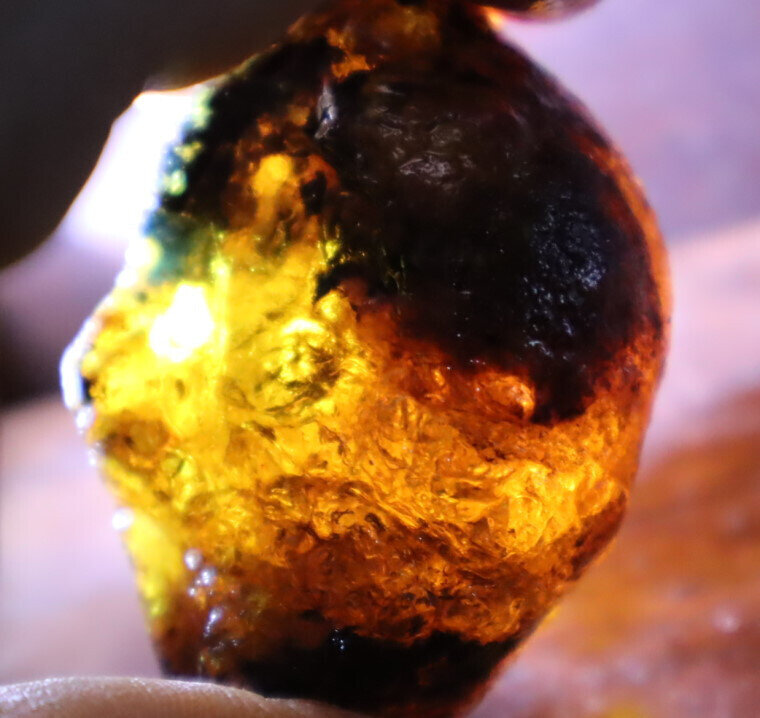 Beautiful Natural Dominican Translucent Sky Blue Amber Rough Specimen 51mm 28.5g – photo 12