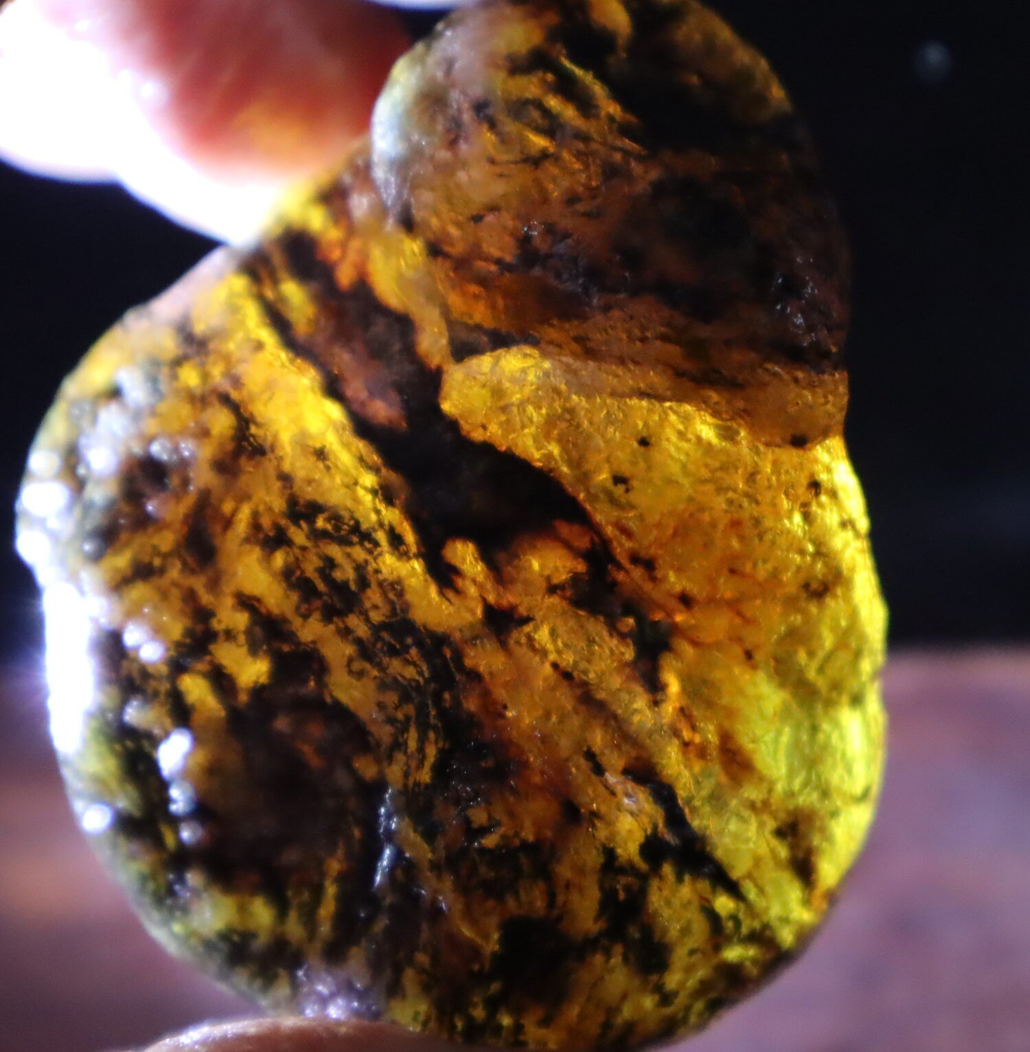 Beautiful Natural Dominican Clear Yellow Green Amber Rough Specimen 58mm 35.3g – photo 4
