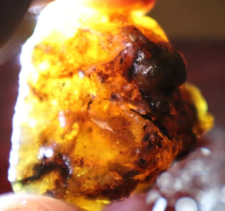 Charming Design Natural Dominican Transl Yellow Blue Amber Rough Specimen 37g – photo 9
