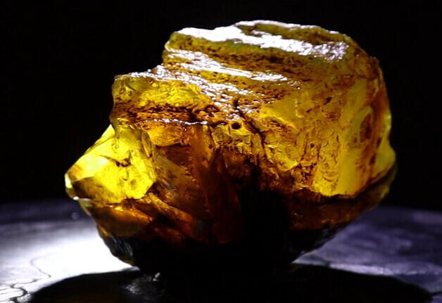 Exquisite Natural Dominican Clear Yellow Amber Rough Specimen 53mm 28g – photo 6