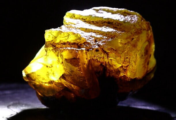 Exquisite Natural Dominican Clear Yellow Amber Rough Specimen 53mm 28g – photo 8