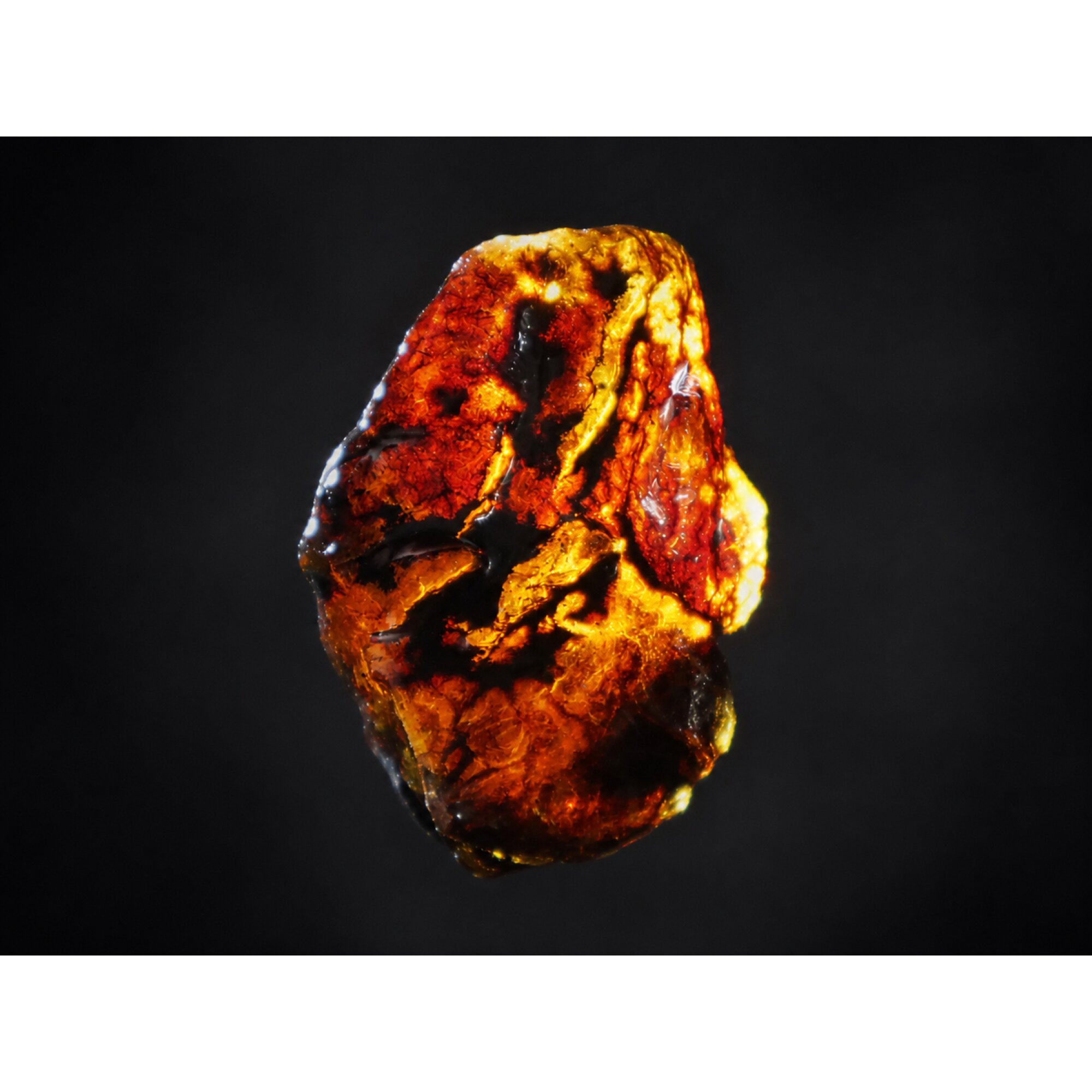 Clear sky blue Natural Dominican Amber rough Specimen 29 mm – photo 7