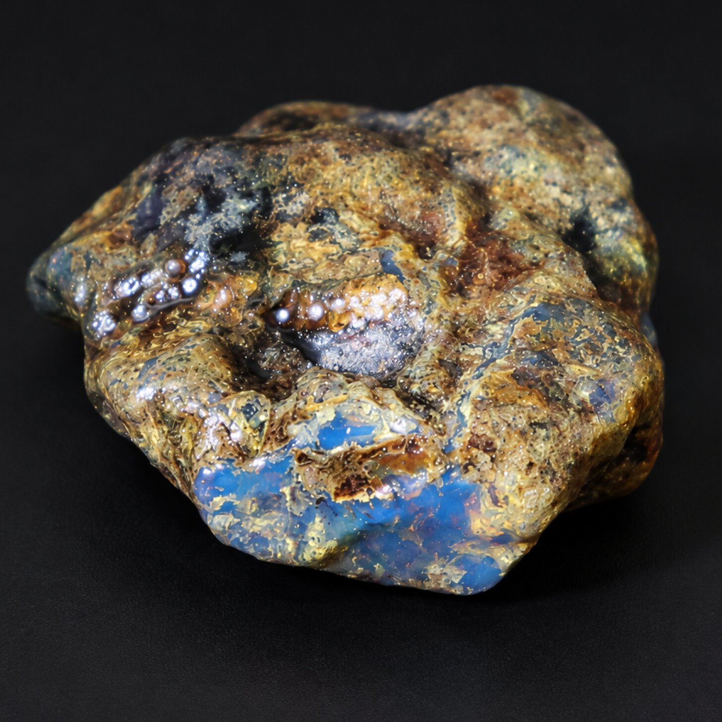 Translucent deep blue Natural Dominican Amber rough Specimen 43 mm