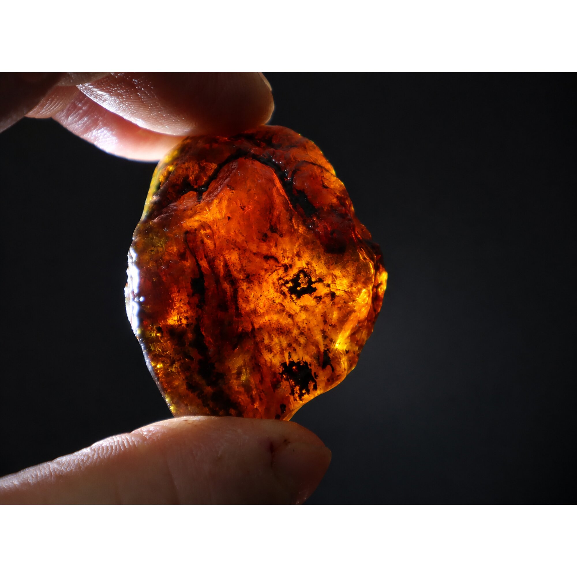 Clear deep blue Natural Dominican Amber rough Specimen 44 mm – photo 2