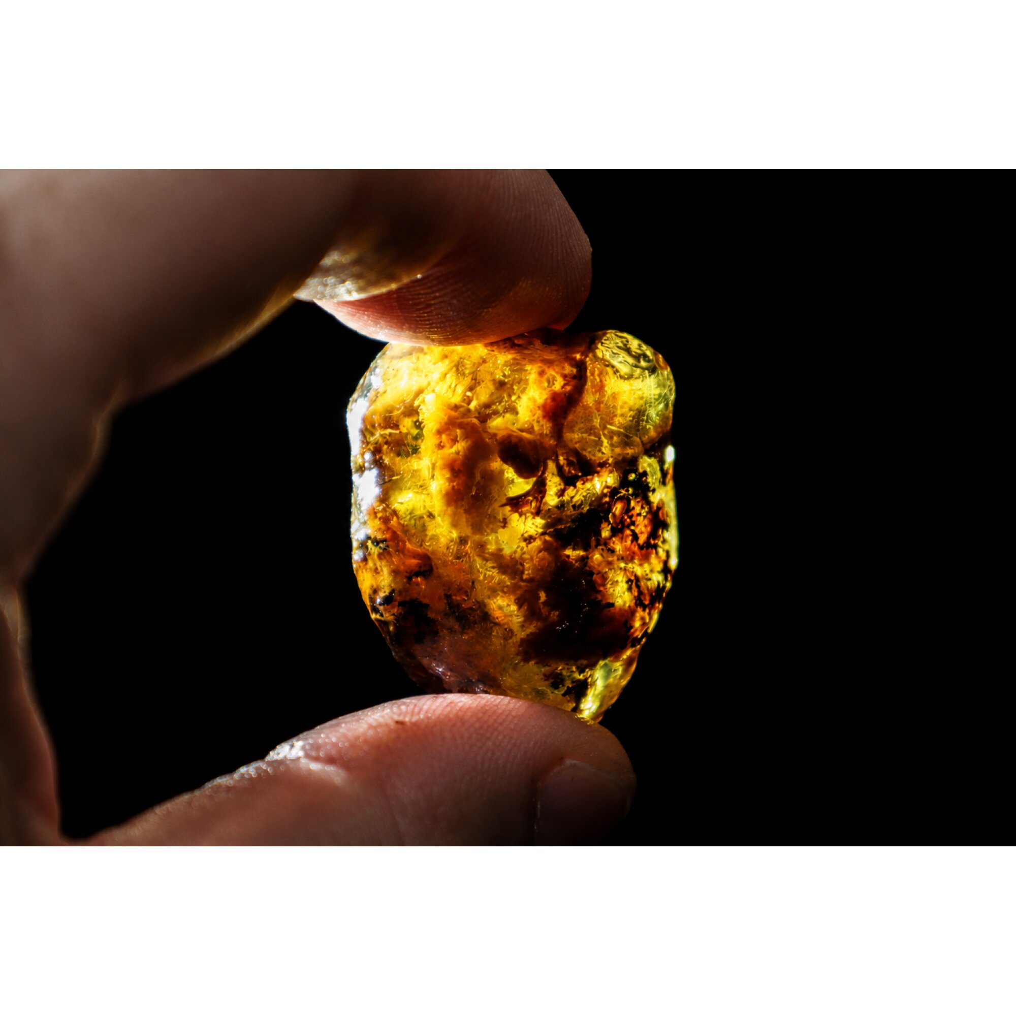 Translucent royal blue Natural Dominican Amber butterscotch Rough Specimen 33 mm – photo 3