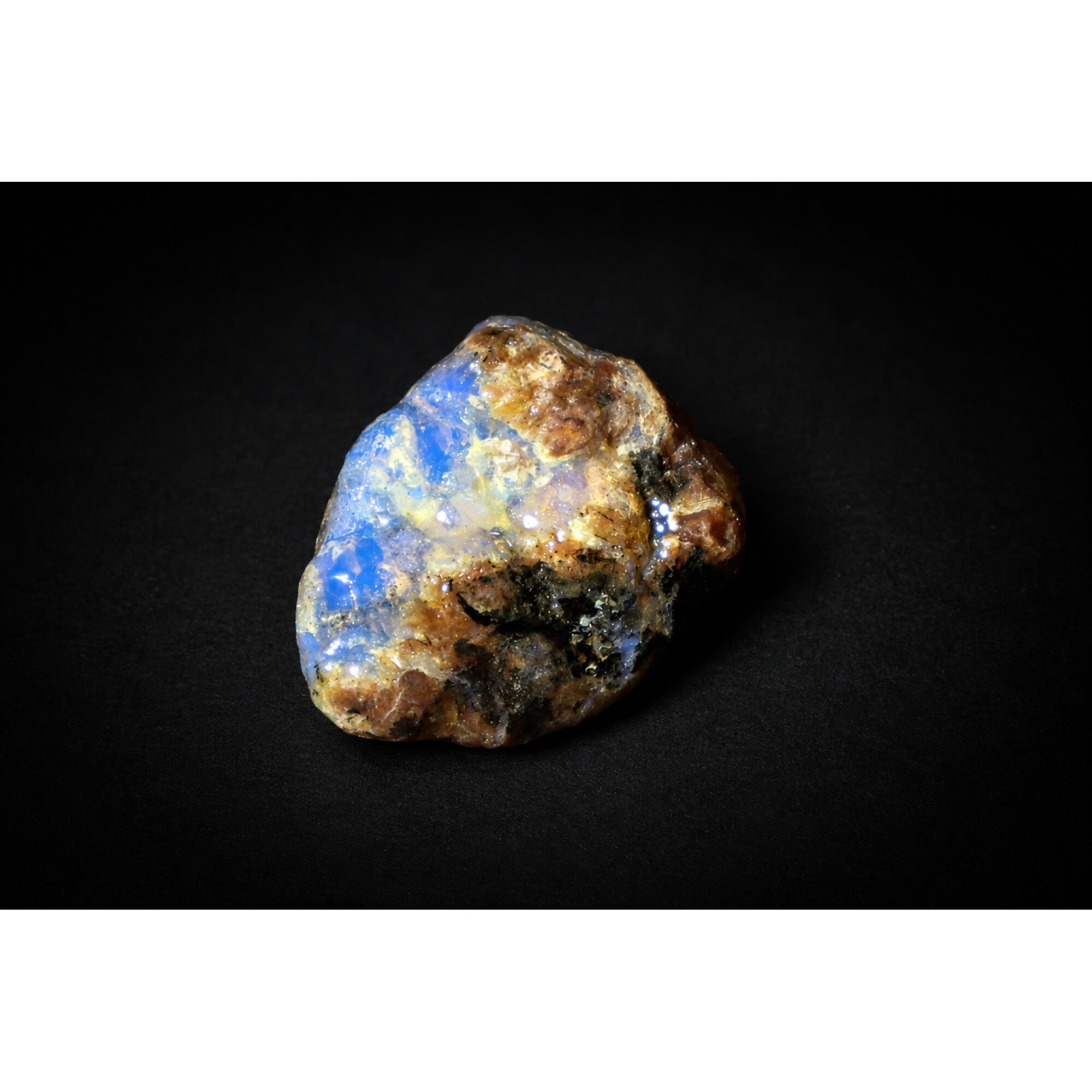 Translucent royal blue Natural Dominican Amber butterscotch Rough Specimen 33 mm – photo 6