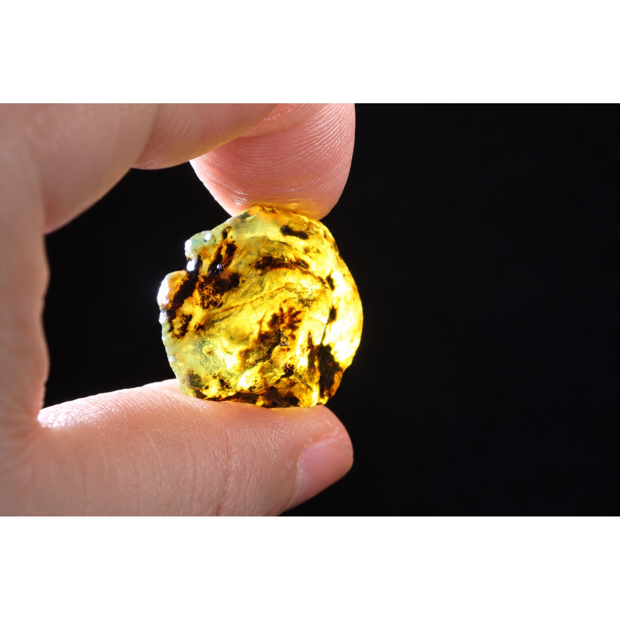 Naturally formed sky blue rough specimen Dominican amber 25mm – photo 7