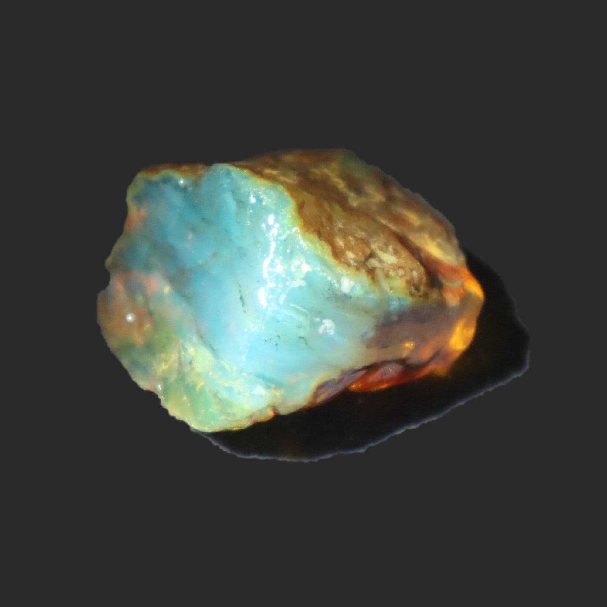 Naturally formed cognac blue rough specimen Dominican amber 31mm