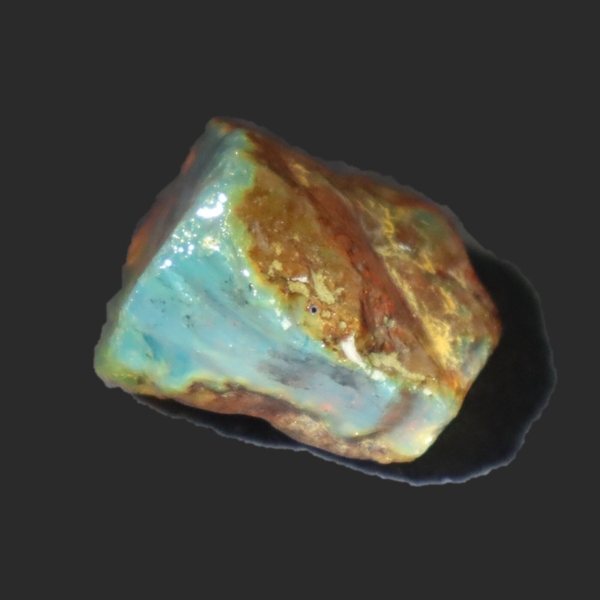 Naturally formed cognac blue rough specimen Dominican amber 31mm – photo 3