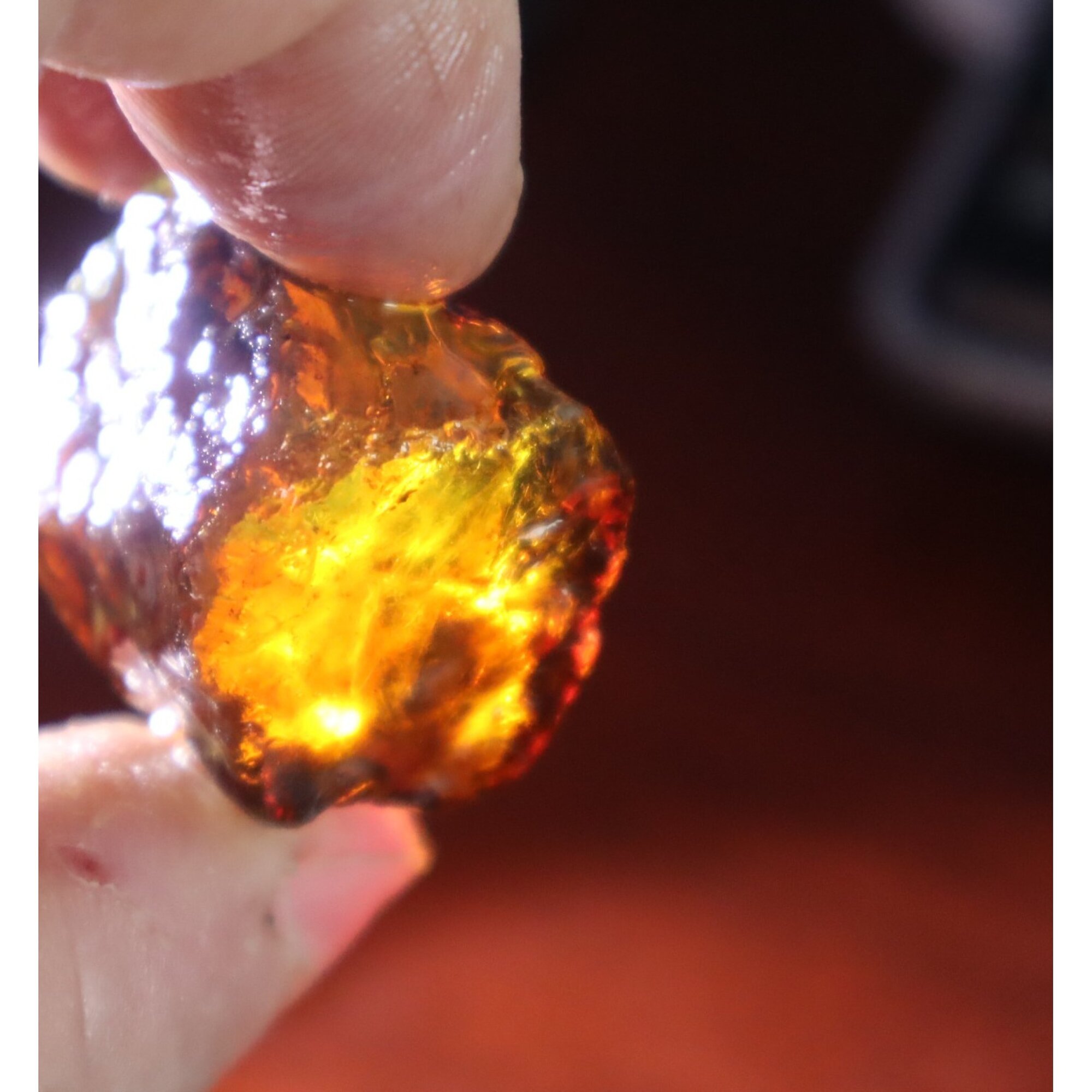 Naturally formed cognac blue rough specimen Dominican amber 31mm – photo 13