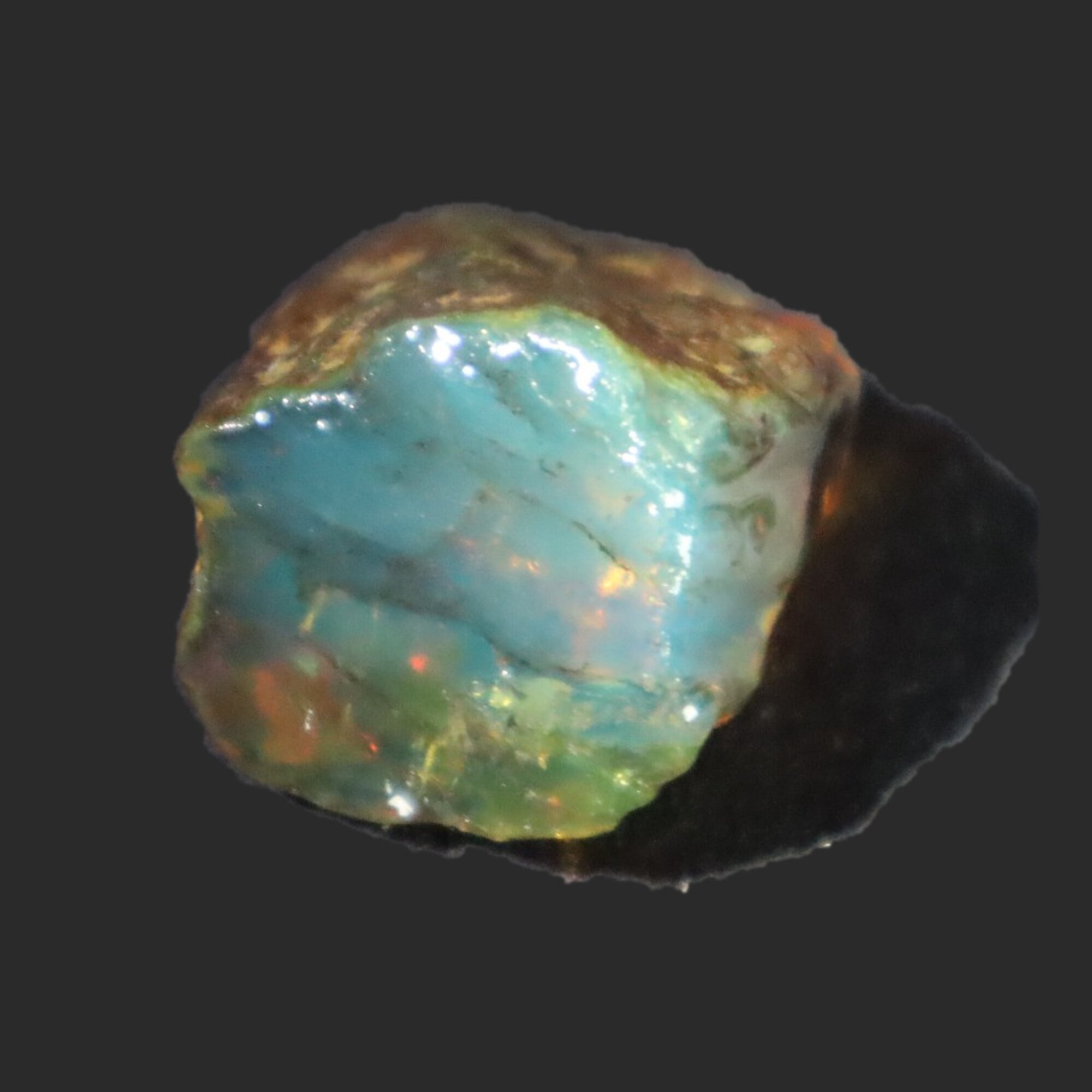 Naturally formed cognac blue rough specimen Dominican amber 31mm – photo 18