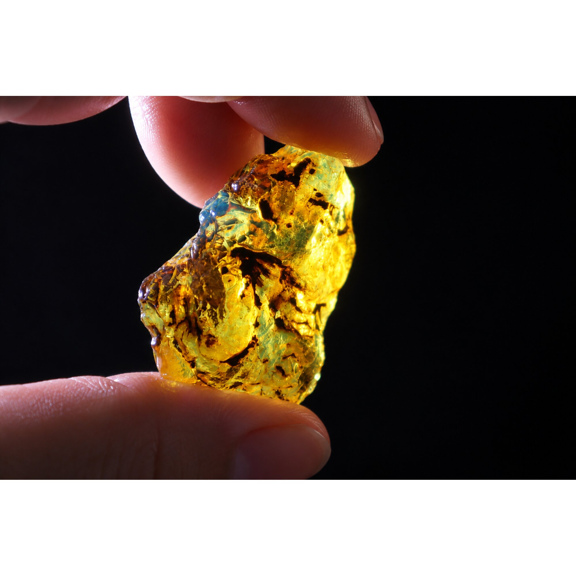 Organic beauty sky blue rough specimen Dominican amber 9.6g – photo 17