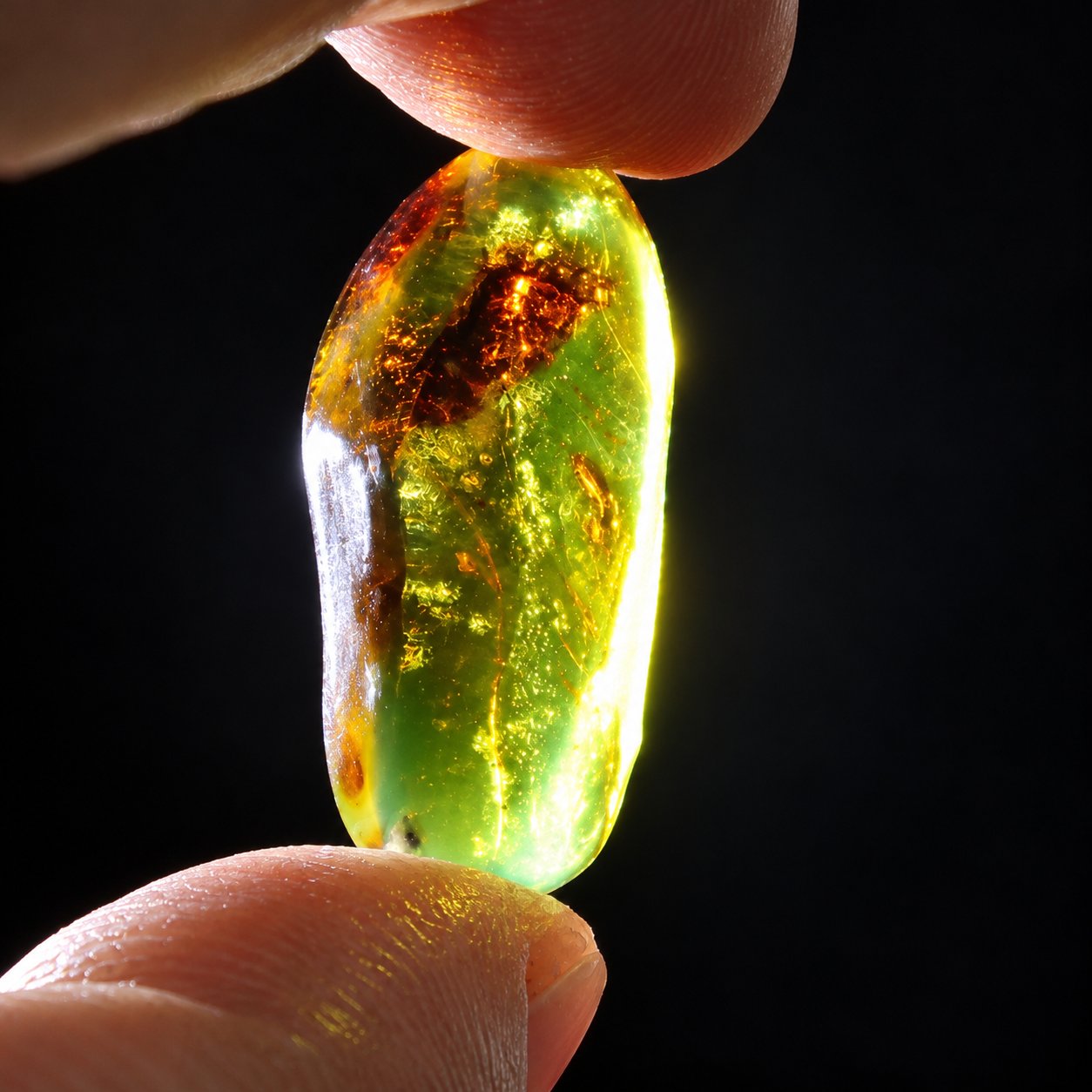 Real dark green polished Dominican amber 35mm – photo 9