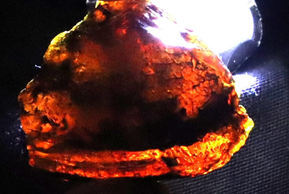 Beautiful Nat Dominican Translucent Blue Green Amber Rough Specimen 36mm 15.5gra – photo 4
