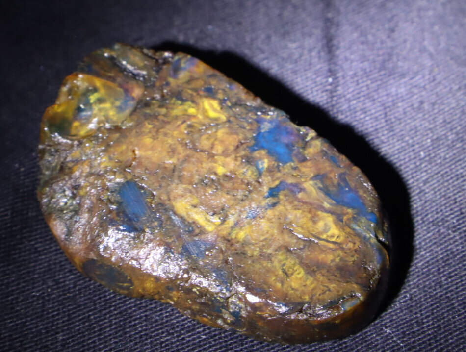 Natural Translucent Blue Butterscotch Amber Slab Slice Specimen 50mm 12grams – photo 5