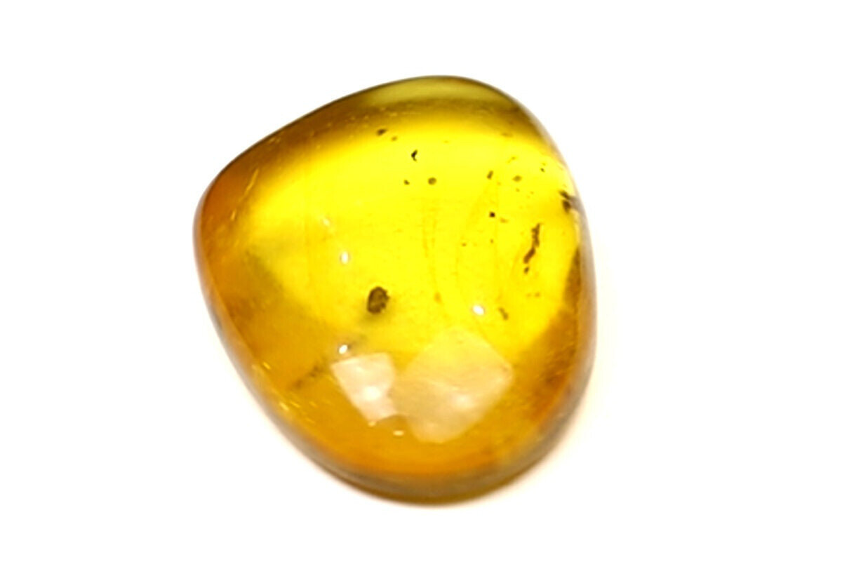 Splendid Natural Dominican Clear Yellow Amber Polished Stone Fossil Insect Bug – photo 12