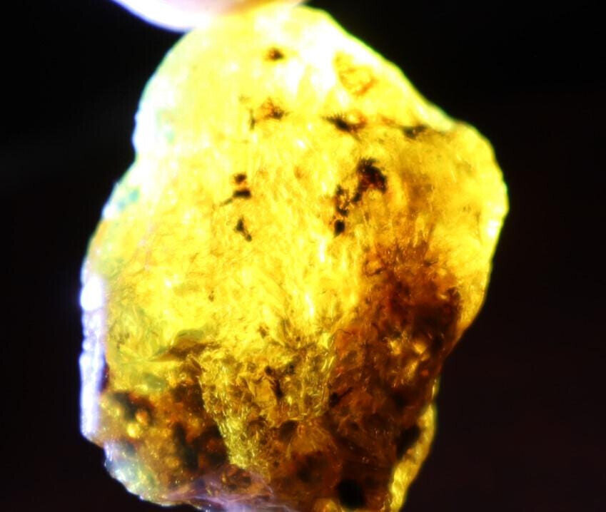 Exquisite Natural Dominican Crystal Clear Sky Blue Amber Rough Specimen 37mm 8.4 – photo 3