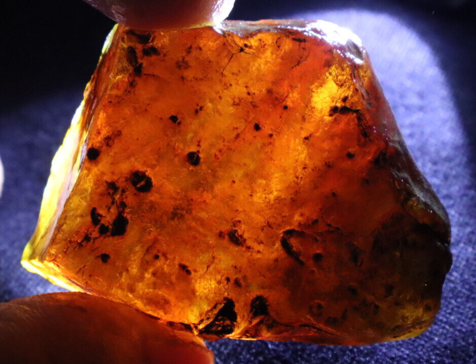 Exquisite Natural Dominican Clear Green Blue Amber Rough Specimen 46mm 18g – photo 7