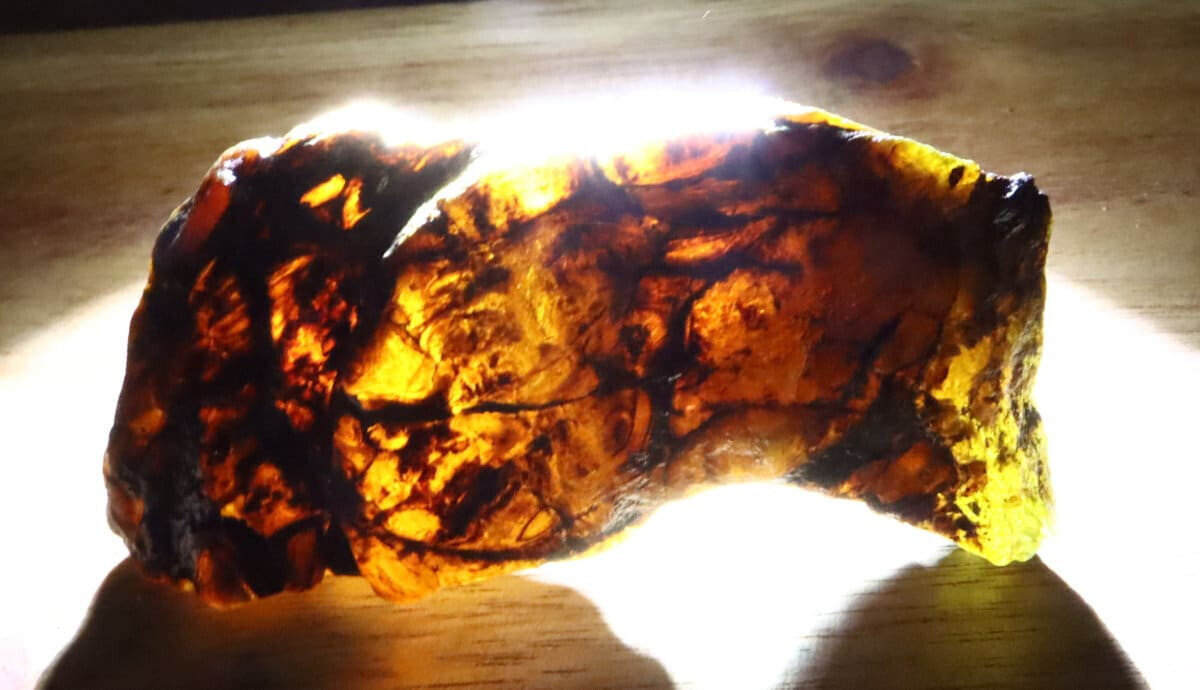 Lovely Natural Dominican Clear Deep Blue Amber Rough Specimen 65mm 16.5g – photo 7