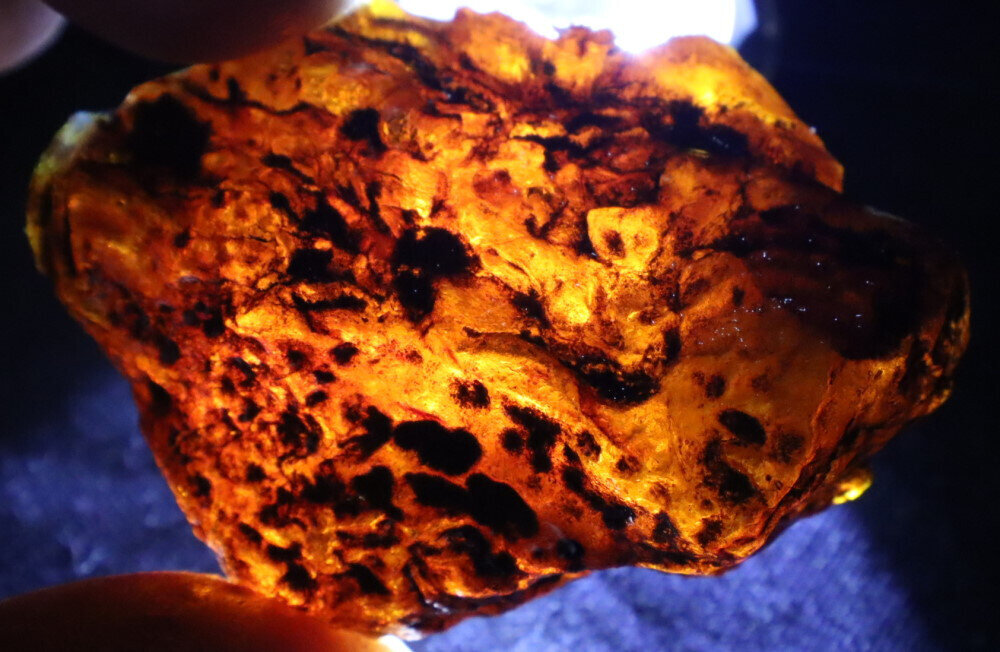 Exquisite Natural Dominican Clear Sky Blue Amber Rough Specimen 57mm 25g – photo 4