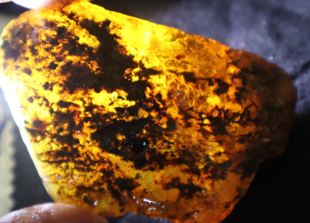 Beautiful Natural Dominican Clear Yellow Blue Amber Rough Specimen 73mm 44.5g – photo 8