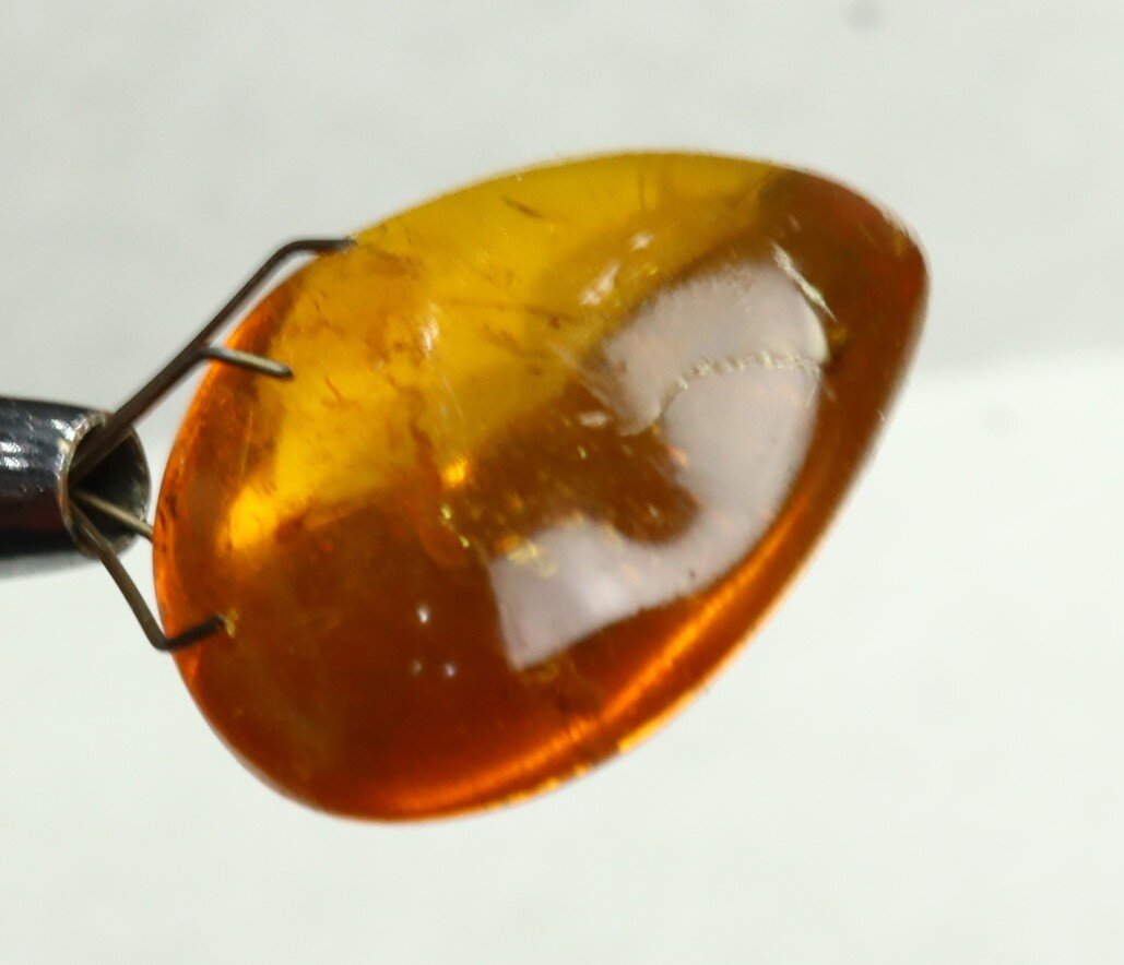 Lovely Natural Dominican Clear Yellow Amber Fossil Insect Fleas Polished Stone 3 – photo 13