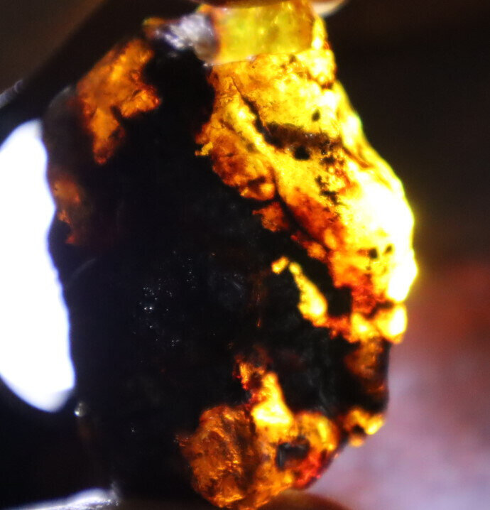 Beautiful Natural Dominican Translucent Green Blue Amber Rough Specimen 47mm 19g – photo 7