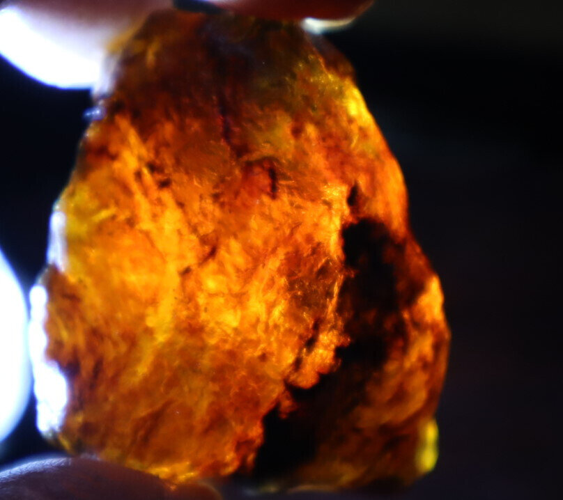Beautiful Natural Dominican Clear Sky Blue Amber Rough Specimen 48mm 17.2g – photo 8