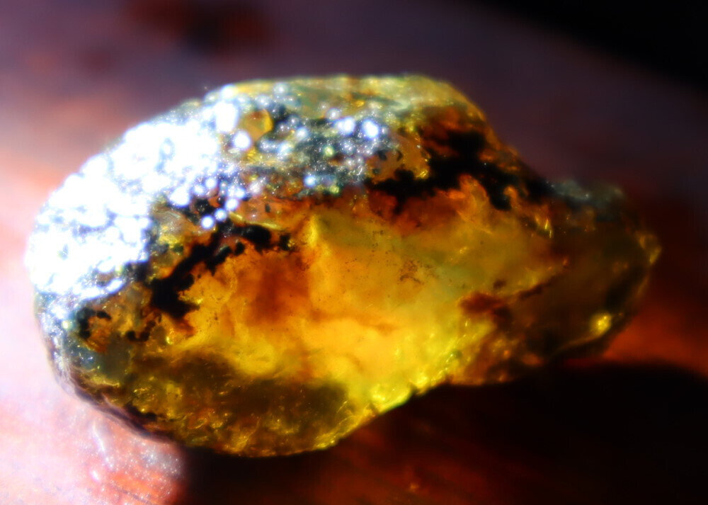 Lovely Natural Dominican Clear Sky Blue Amber Rough Specimen 38mm 7.4g – photo 7