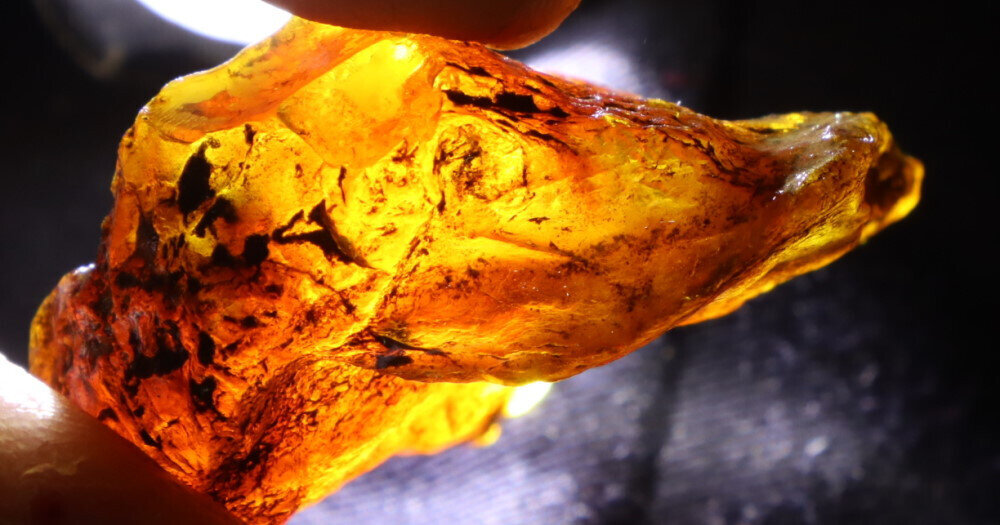 Exquisite Natural Dominican Clear Sky Blue Amber Rough Specimen 40mm 13g – photo 3
