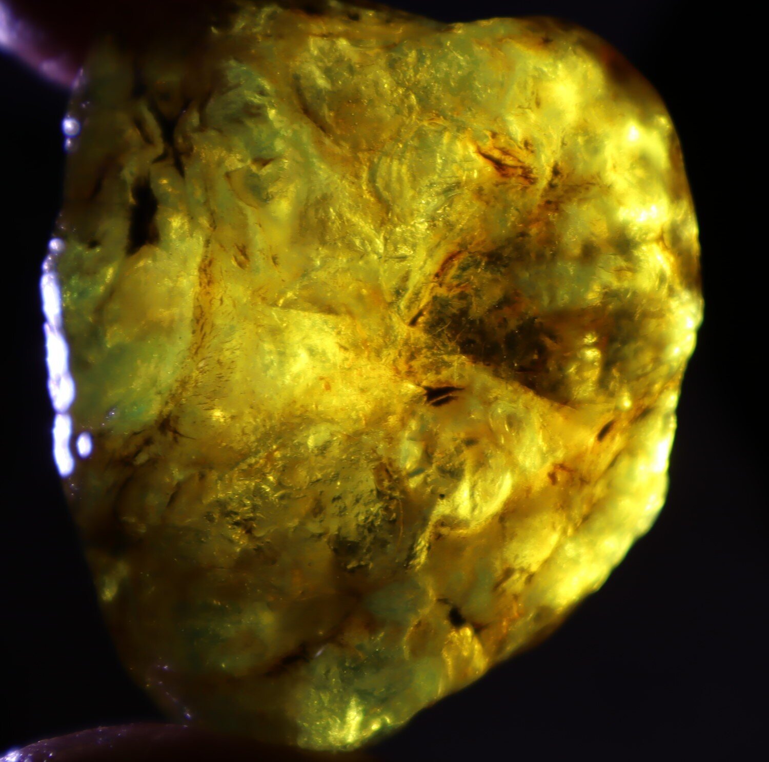 Natural Dominican Blue Amber Rough Specimen 53mm 26.2g Clear Yellow – photo 6