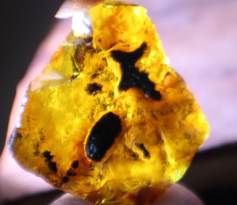 Finest Natural Dominican Clear Sky Blue Amber Rough Specimen 32mm 7.5g – photo 4