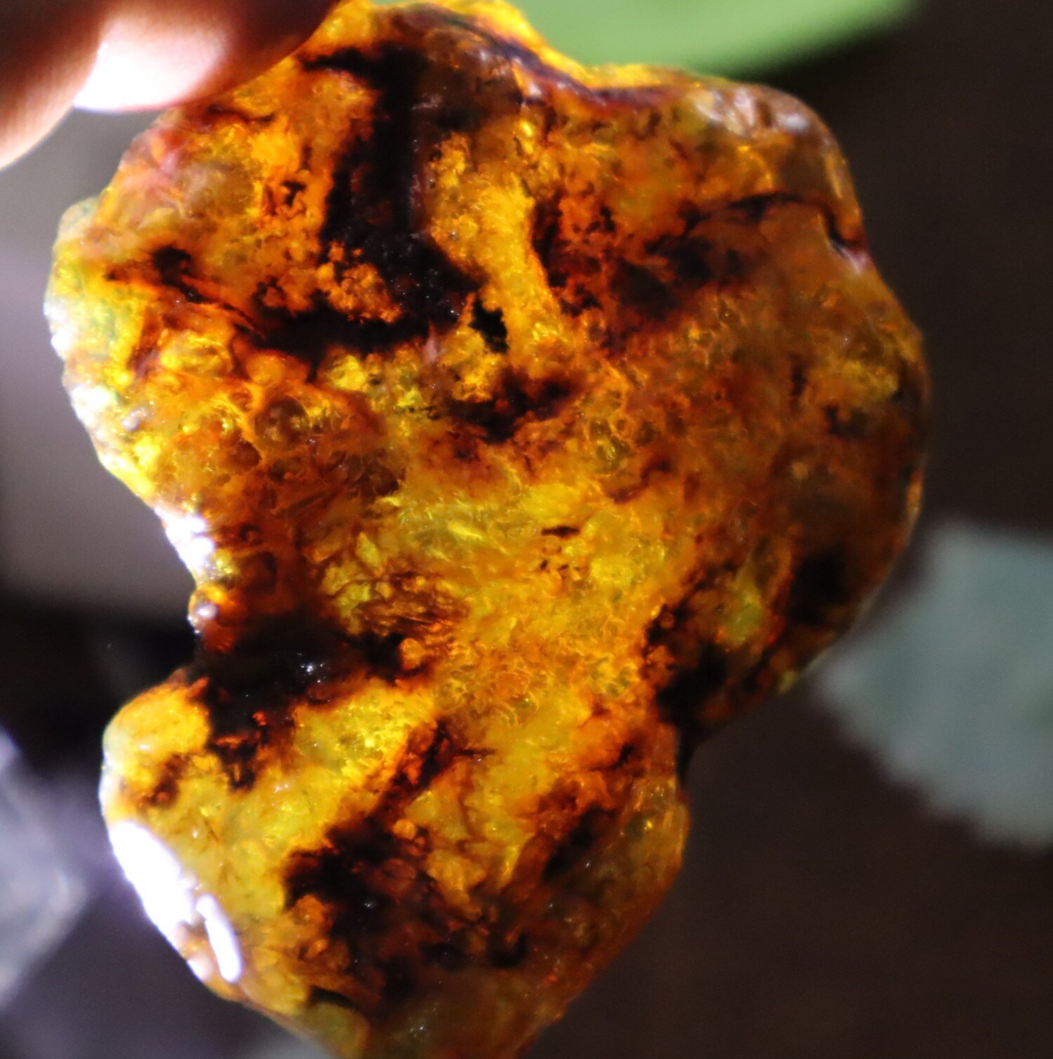 Beautiful Natural Dominican Translucent Green Blue Amber Rough Specimen 66mm 35g – photo 10