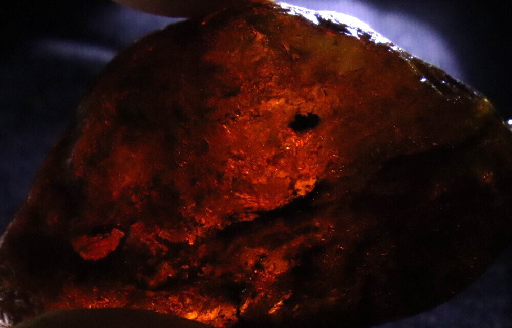 Beautiful Natural Dominican Translucent Green Blue Amber Rough Specimen 54mm 22g – photo 5
